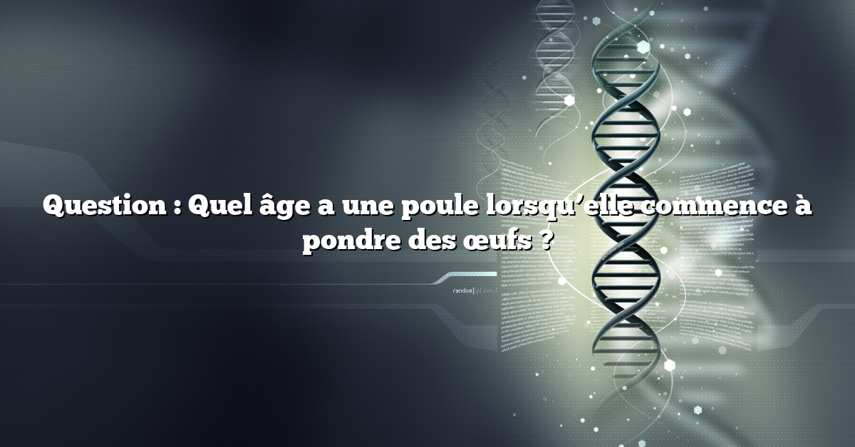 Question : Quel âge a une poule lorsqu’elle commence à pondre des œufs ?